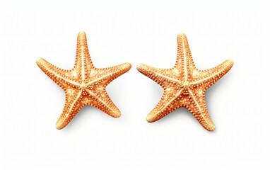 Fototapeta na wymiar Two shells and a starfish on a white surface,, Generative Ai