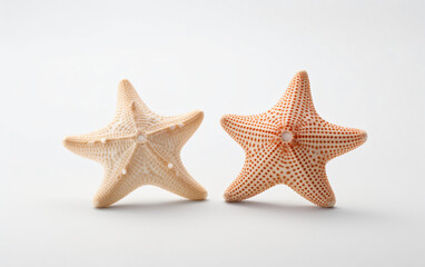 Two shells and a starfish on a white surface,, Generative Ai