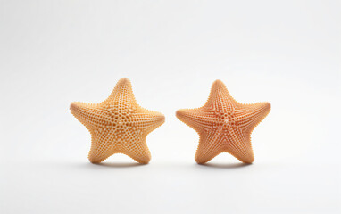 Fototapeta na wymiar Two shells and a starfish on a white surface,, Generative Ai