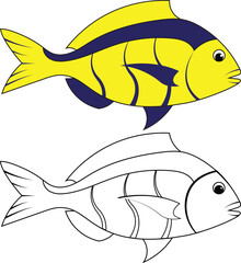 Fish vector flat illustration and coloring page
