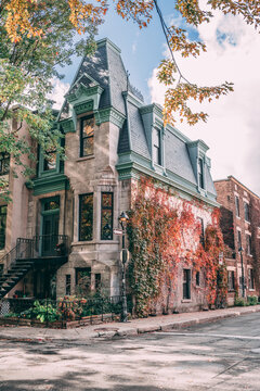 Alley in Montreal in autumn showing an old historical building covered in plants that are turning red
