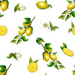 Watercolor seamless pattern lemon tree branch and slice. Hand drawn botanical illustration of yellow citrus fruits isolated on white background. Clipart objects for design and decoration