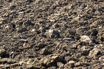 Preparation of soil for sowing plants