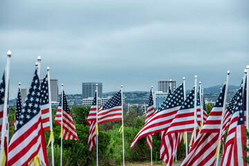 Field of Honor Flag Display in Newport Beach CA