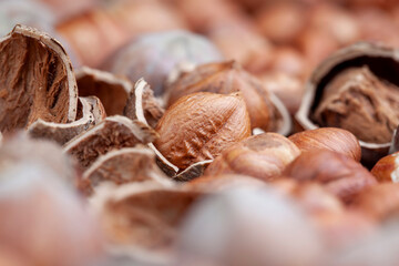 not peeled from the hard shell of useful hazelnuts