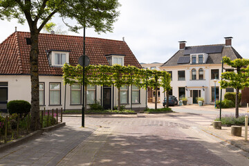 Street with espaliers in the center of the Dutch village of Marrum in Friesland.