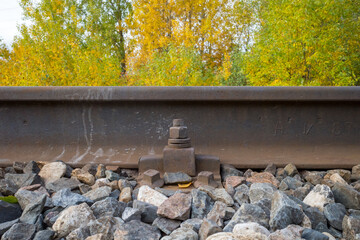 railway rails in the forest natural lighting