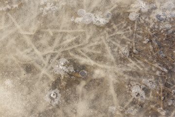 frozen dirty water in puddles on the soil