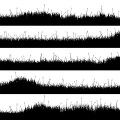 Meadow silhouettes with grass, plants on plain. Panoramic summer lawn landscape with herbs, various weeds. Herbal border, frame element. Black horizontal banners. Vector illustration
