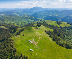 Fototapeta premium meadow for pasture in Romania. mountain landscape