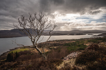 Fototapeta na wymiar A Sea Loch in the Scottish higlands