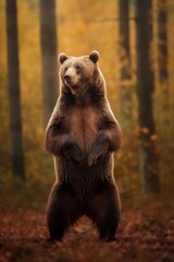 Fototapeta premium Bear