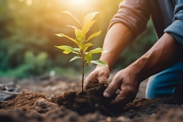 Fototapeta premium Hand Planting Tree, World Save Life, and Plant a Tree. Generative ai