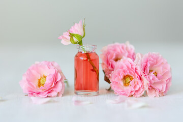 Concept of perfume with pure natural organic rose ingredient, essential oils. Glass bottles with...
