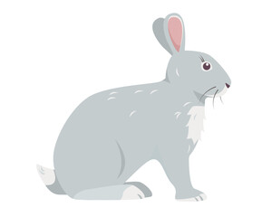 Grey sitting rabbit. Wild forest or Farm animal or pet icon. Vector illustration isolated on white background.