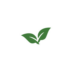 leaf plant