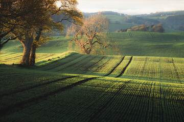 Scenic landscape view of rolling hills and pastoral countryside farmland in Moonzie near Cupar in Fife, Scotland, UK.