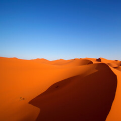 Fototapeta na wymiar desert, sand, dune, sahara, landscape, nature, dunes, sky, dry, travel, sunset, morocco, hot, adventure, orange, sand dune, hill, sun, arid, heat, tourism, yellow, summer, red, wilderness