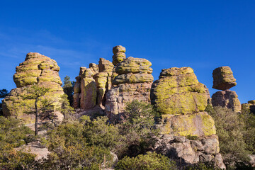 Chiricahua