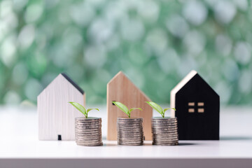 Stack coin with plant growing on and home model for family put on top in office, Business investment loan for real estate or save money for buy new house in future concept. Planning to buy property.