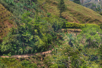 Rural road in Honduras