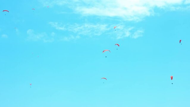 Enjoying fly extreme on colorful paragliding. A summer team enjoy the fresh air with paragliders in the sun light.
