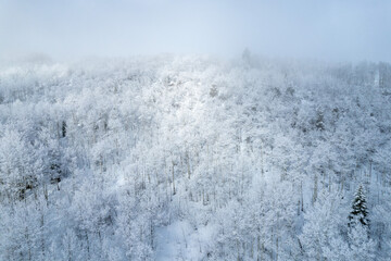 Snowy Aspen Mountainside Light Beam