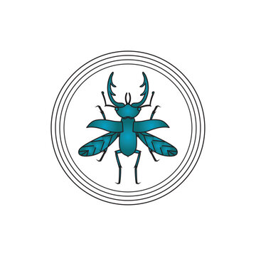 vector image of blue insect with white background and black lines