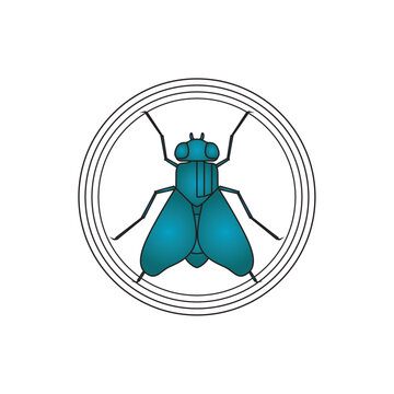 vector image of blue fly with white background and black lines