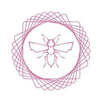 vector image of bee in pink lines with white background
