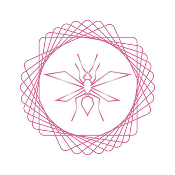 vector image of insect in pink lines with white background
