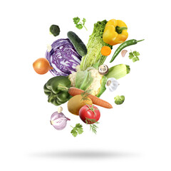 Many fresh vegetables, mushroom and herbs falling on white background