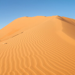 Fototapeta na wymiar desert, sand, dune, landscape, sahara, dunes, nature, sky, dry, travel, sand dune, morocco, hot, heat, hill, arid, sun, erg chebbi, yellow, summer, adventure, namibia, sandy