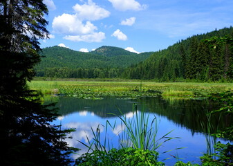 Fototapeta na wymiar A Calm Pond in the Wilderness with Mountains in the Background on a Bright, Sunny Day