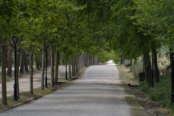 Camino a trav&eacute;s del parque