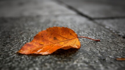 A single orange leaf on the dark ground. Generative AI. 