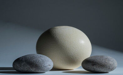 oval stones and ostrich egg for product presentation podium background on gray background