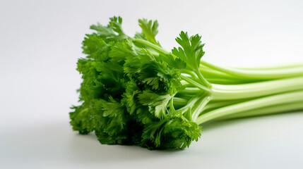 Fototapeta premium Close up shot of a bunch of fresh green parsley