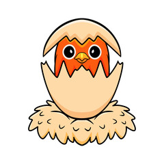 Cute lutino lovebird cartoon inside from egg