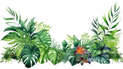 tropical foliage corner borders in watercolor style, isolated on a transparent background for design layouts