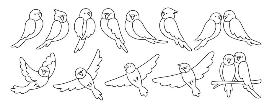 Parrot tropical contour linear set. Summer wild exotic sitting or flying bird collection. Wildlife jungle Hawaiian cute parrots funny pretty parakeet characters hand drawn isolated vector illustration