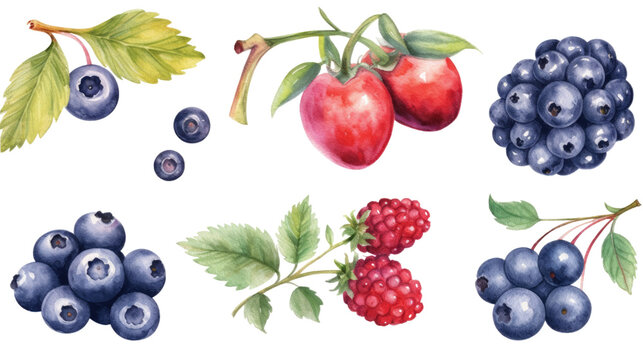 vibrant berry collection in watercolor style, isolated on a transparent background for design layouts