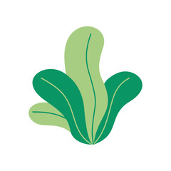 Bushes Ornament Illustration