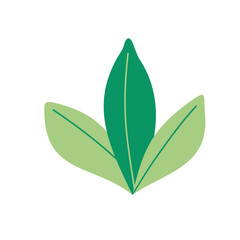 Bushes Ornament Illustration