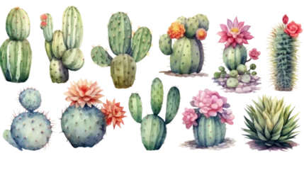 Zelfklevend Fotobehang Cactus cactus in watercolor style, isolated on a transparent background for design layouts