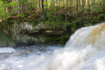 Rushing Waterfall Amidst Lush Forest Greenery