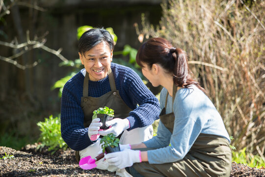 苗を植える夫婦