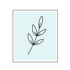 Floral botanical line art vector poster for wall decoration