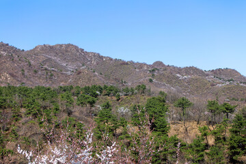 Spring in the mountains of Changping, Beijing