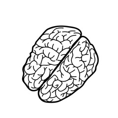 human brain vector